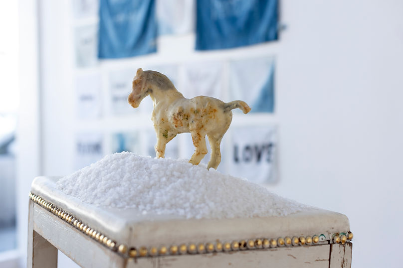 horse with indigo.jpg