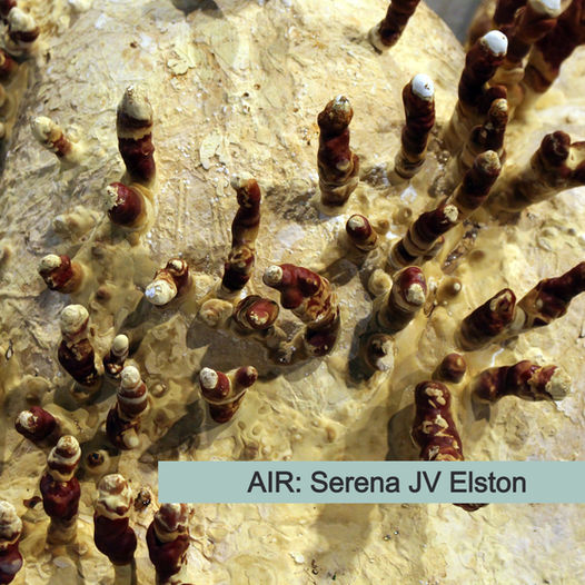 AIR: Serena JV Elston