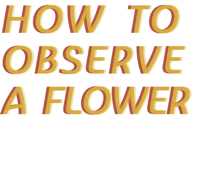 TOSHA_TITLE@3x.png