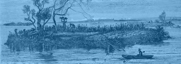 floating garden blue.jpg