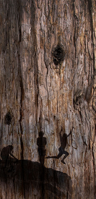 This Tree sample4.jpg