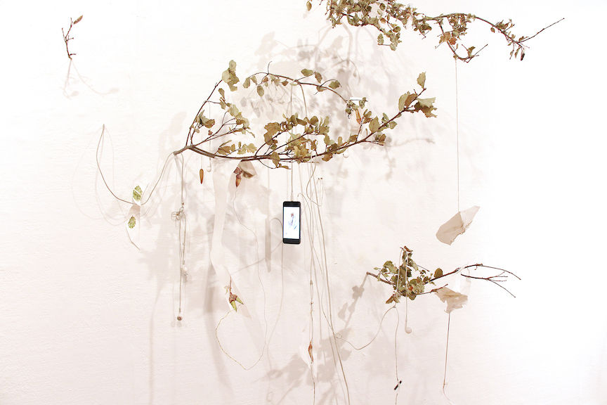 Alicia_Escott_EverythingAliveHereIsDead_AnExcerciseInListening_2_2020_MixedMedia_Dimention