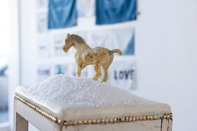 horse with indigo.jpg