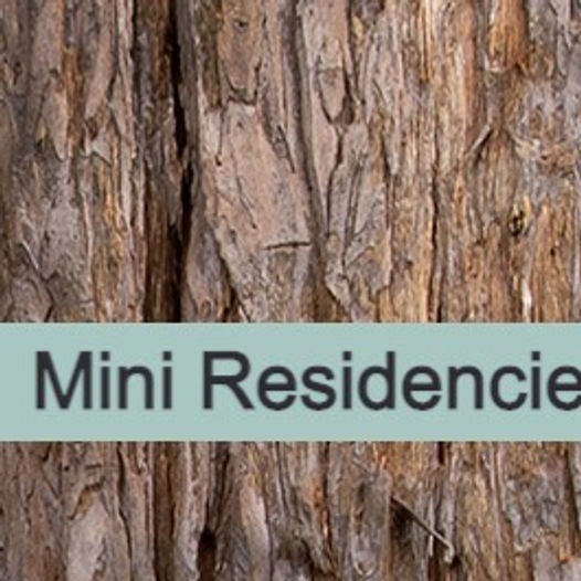 Mini Residencies