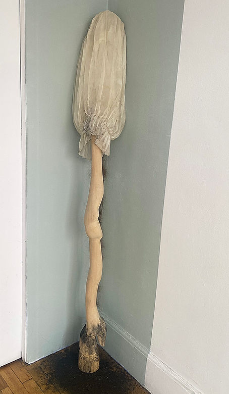 cows leg full adjusted.jpg